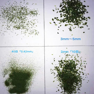 Dried Seaweed Green Laver Aonori Ulva Lactuca Powder Elevate Your Baking or Soup Game