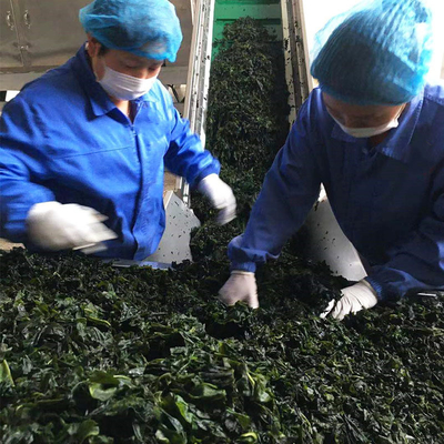 3cm Length Dehydrated Vegetables Dried Wakame Laver for Fast Food 20Kg Bulk Packaging