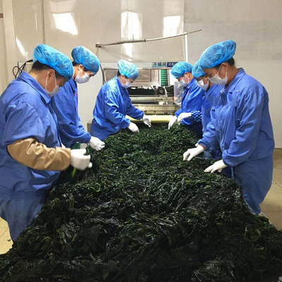 Normal Ingredients Alga Dark Green Dried Seaweed Smell Fragrant Dried Cut Seaweed Wakame