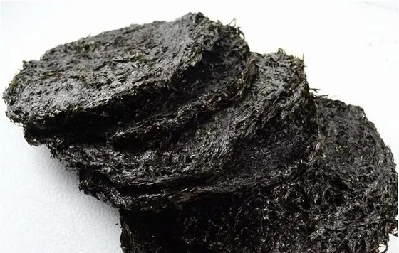 Laver Variety's Best-Kept Secret Porphyra Haitanensis SEAWEED for Cooking Ingredients