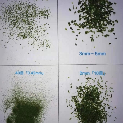 Processed Seasoned Dried AOSA Aonori Ulva Flakes with Normal Ingredients