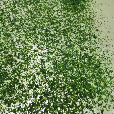 Processed Seasoned Dried AOSA Aonori Ulva Flakes with Normal Ingredients
