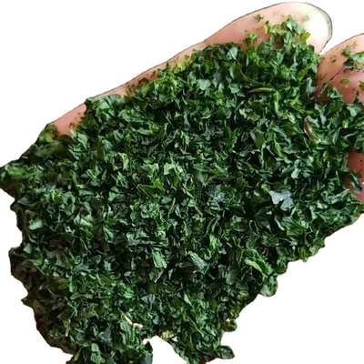 Get the Dried AOSA Seaweed Flakes Aonori for Your Sushi Food A Must-Have Ingredient