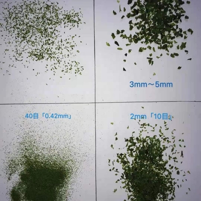 Hot Dried Aonori Flakes Green Leaves for Irresistible Philippine Seaweed Snacks