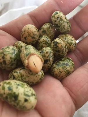 Hot Dried Aonori Flakes Green Leaves for Irresistible Philippine Seaweed Snacks