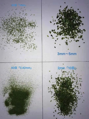 Malaysia Seaweed Ulva Flakes Dried Aonori Seaweed Flakes Variety Laver