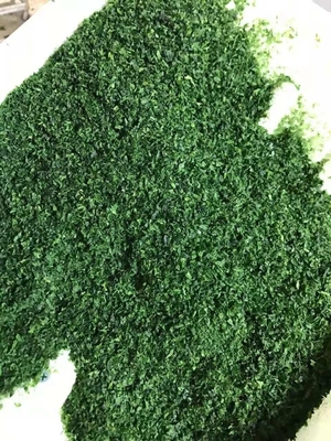 Malaysia Seaweed Ulva Flakes Dried Aonori Seaweed Flakes Variety Laver