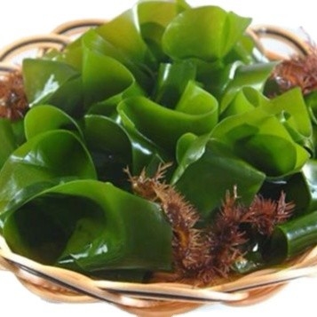 Storage Type Normal 500g Chuka Wakame Dried Seaweed Cut Wakame