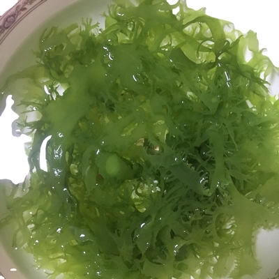 FROZEN Dried Seaweed Tosaka In Red Green Style Flavored Seasoned