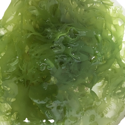 FROZEN Dried Seaweed Tosaka In Red Green Style Flavored Seasoned