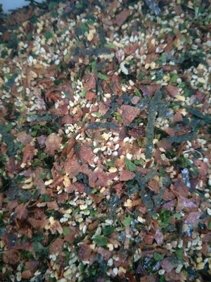 Dried Nori Seaweed Sesame Mix Furikake Bonito Seasoning Powder Nori Komi Normal Style