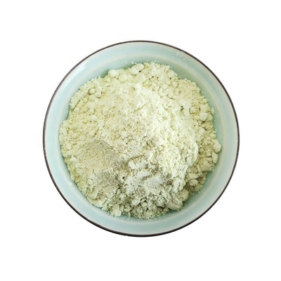 Non-Additives Dry Sushi Horseradish Sachet 1kg Wasabi Powder for 24 Months Shelf Life