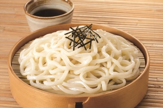 FROZEN Udon Noodles with Buckwheat Traditional Japanese Style