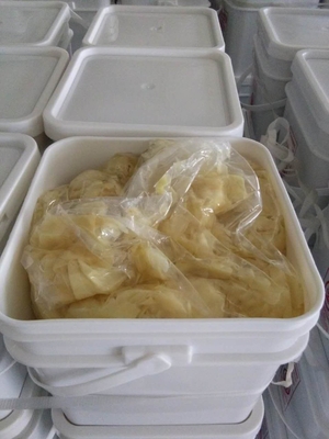 Water Preservation Process Sweet Pickled Sushi Ginger in Bulk for Japanese Delicacies