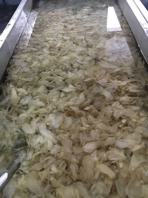 Vinegar Process Japanese White Pink Pickled Sushi Ginger for Open Air Cultivation Type