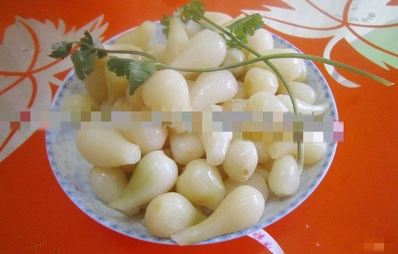 Pickled Seasoning Chinese Bulbous Onion Rakkyo Storage NORMAL CONDITIONAL SPICY Flavor