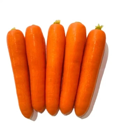 4 KG Natural Carrots Fresh Vegetables Umbelliferous Vegetabless