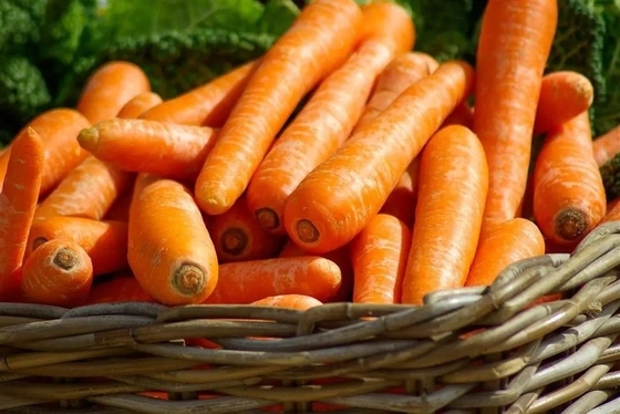 4 KG Natural Carrots Fresh Vegetables Umbelliferous Vegetabless