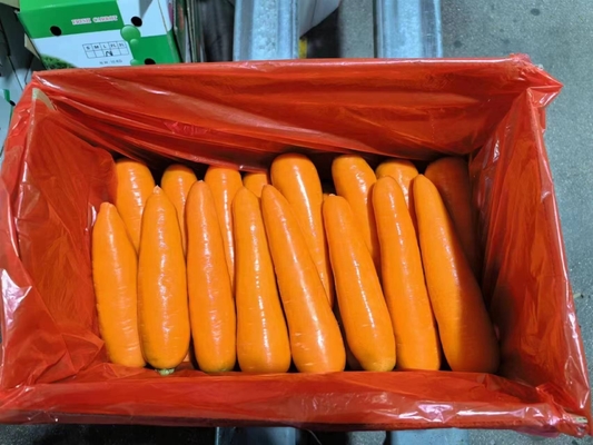 4 KG Natural Carrots Fresh Vegetables Umbelliferous Vegetabless