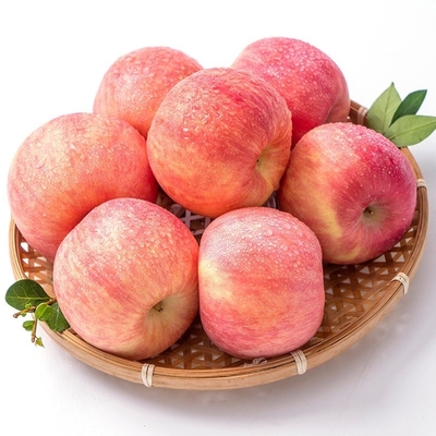 90% Maturity Fresh Fuji Apple Best and Common Cultivation Type