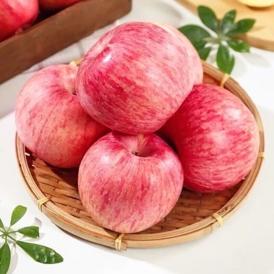90% Maturity Fresh Fuji Apple Best and Common Cultivation Type