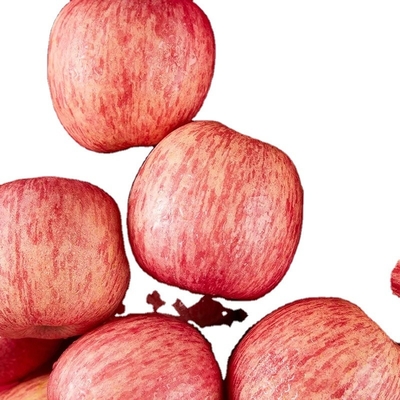 90% Maturity Fresh Fuji Apple Best and Common Cultivation Type
