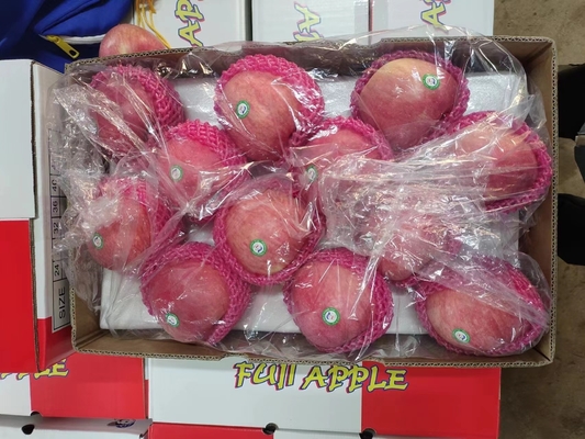 90% Maturity Fresh Fuji Apple Best and Common Cultivation Type