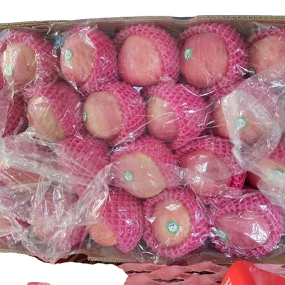 2024 Best Green Fuji Apples Fresh Product with 0.4kg Weight