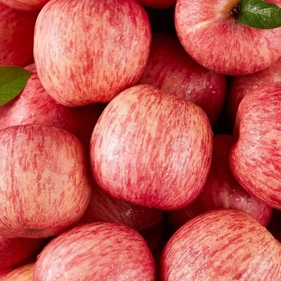 2024 Best Green Fuji Apples Fresh Product with 0.4kg Weight