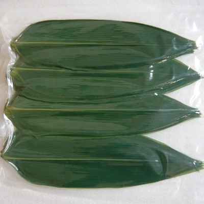 Nature Green HOBA Bamboo Leaves The Essential Ingredient for Serving Sushi