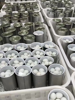 425g Cooked Canned Quail Eggs for Customer Requirements from SHANDONG