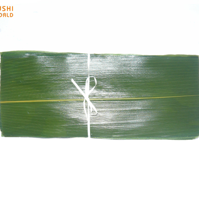 Make Mouth-Watering Rice Dumplings with Vacuum-Packed Fresh Bamboo Leaves Part Leaf