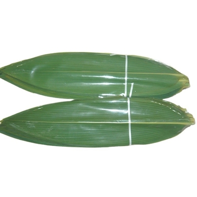 Make Mouth-Watering Rice Dumplings with Vacuum-Packed Fresh Bamboo Leaves Part Leaf