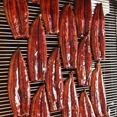 FROZEN Roasted Unagi Eel Pieces The Perfect Ingredient for Your Recipes