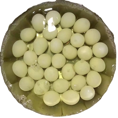 High Protein Fresh Table Eggs Brown And White Cooked 425g Canned Salted Quail Eggs