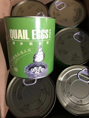 High Protein Fresh Table Eggs Brown And White Cooked 425g Canned Salted Quail Eggs