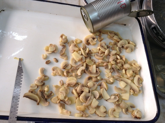 Natural Fresh Taste Canned Mushroom in 130g from Morocco for Your Requirements