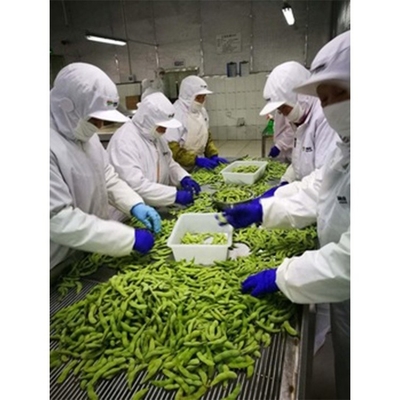 Frozen Bulk Edamame Beans Storage Type Frozen 10kg Weight