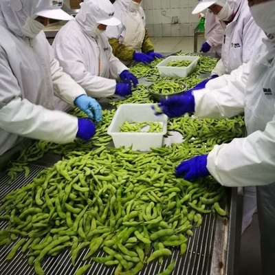 Certified IQF Frozen Edamame Steamed Grade A for Quick and Easy Snacks