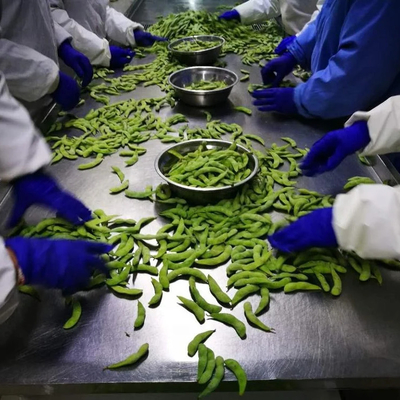 Certified IQF Frozen Edamame Steamed Grade A for Quick and Easy Snacks