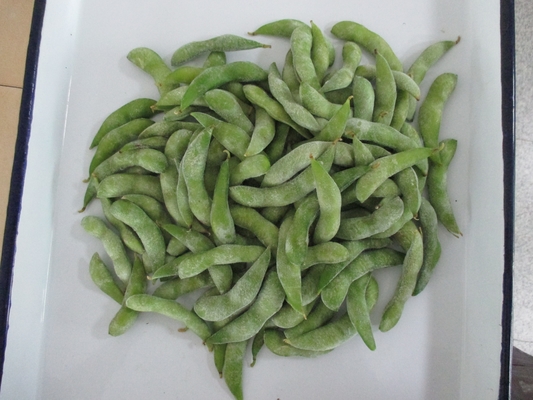 Certified IQF Frozen Edamame Steamed Grade A for Quick and Easy Snacks