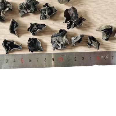 COOL DRIED Storage Type Cultivated Dried Black Fungus for Traditional Chinese Medicin