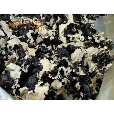 Cool Dried Storage Type Organic Dried Black Fungus Bulk 4-5CM from India and Morocco