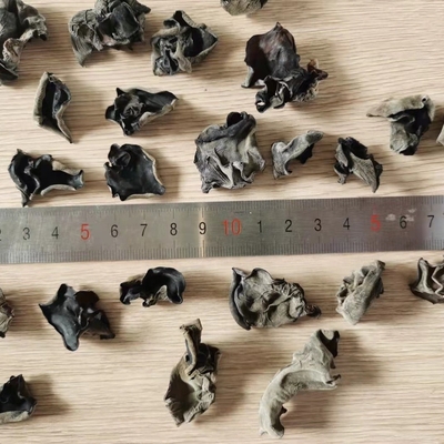 Cool Dried Storage Type Organic Dried Black Fungus Bulk 4-5CM from India and Morocco