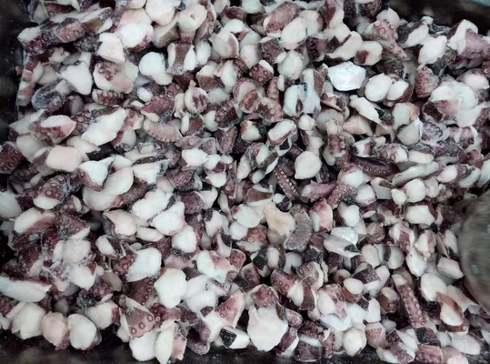Frozen Sliced Octopus TAKO I.Q.F from Fujian Delicious and Convenient