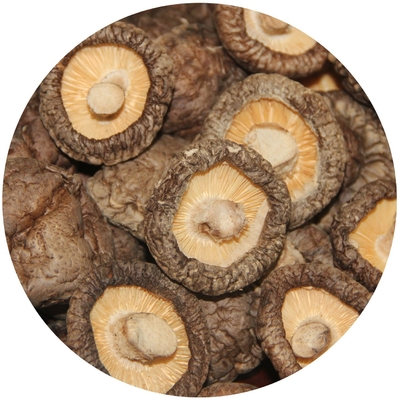 Brown Lions Mane Mushroom Extract Dried Shiitake Mushroom 1kg/bag