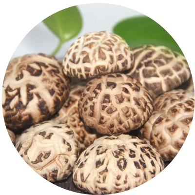 Brown Lions Mane Mushroom Extract Dried Shiitake Mushroom 1kg/bag