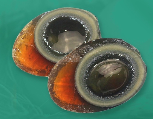 Shandong Address Preserved Duck Egg Century Egg with Normal Ingredients