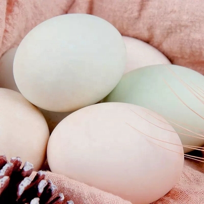 Authentic Flavor Salted Duck Egg with Red Yolk Stored in Dry Cool Places
