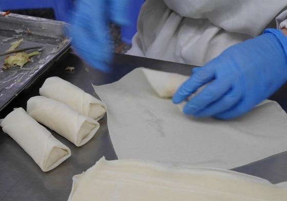 Healthy Frozen Vegetable Spring Rolls for a Nutritious and Flavorful Dish